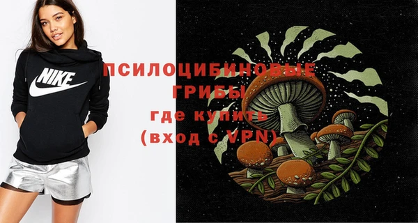 спайс Алзамай