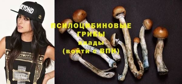 спайс Алзамай