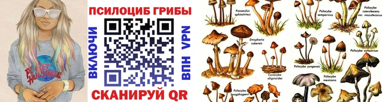 Галлюциногенные грибы ЛСД  Бобров 